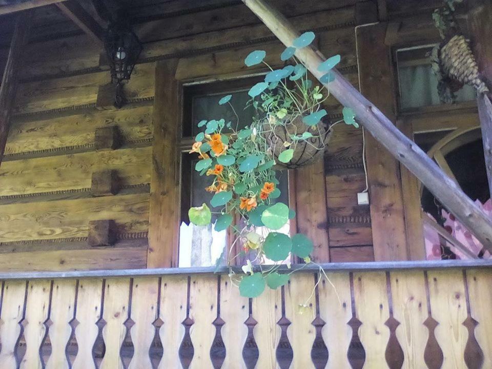 Kwatery Prywatne-Romanowka Закопане Екстериор снимка